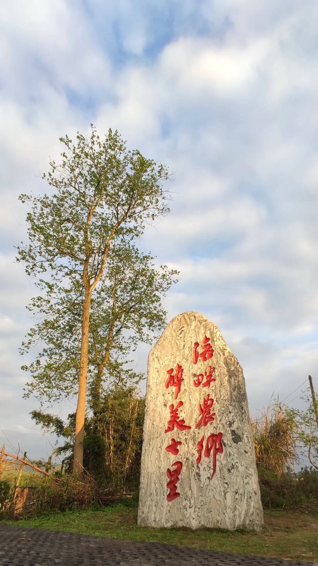 龙井湾院子旅行图片 1