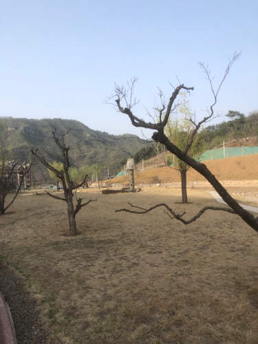 云溪谷公园景区(中冶兴隆新城)旅行图片 2