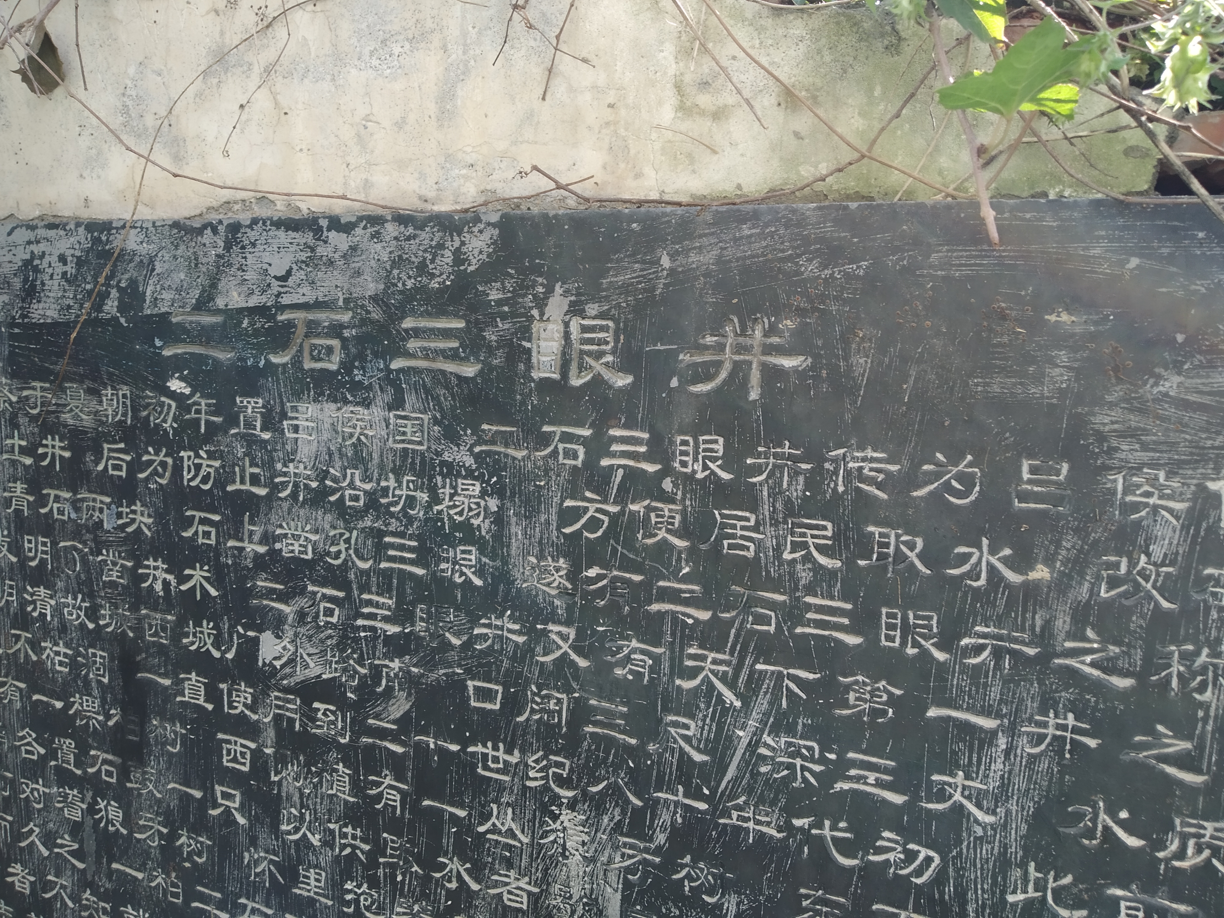 一柏二石三眼井旅行图片 1