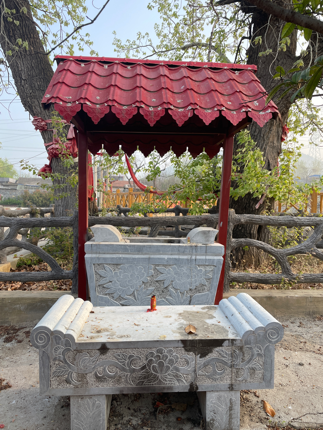 古神树法道福地旅游风景区旅行图片 1