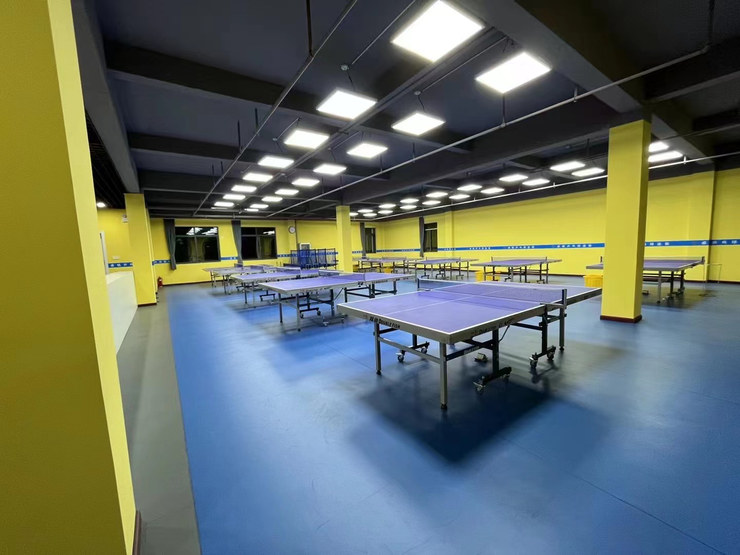 场地封面-卓悦乒乓球俱乐部(幸福佳苑店)