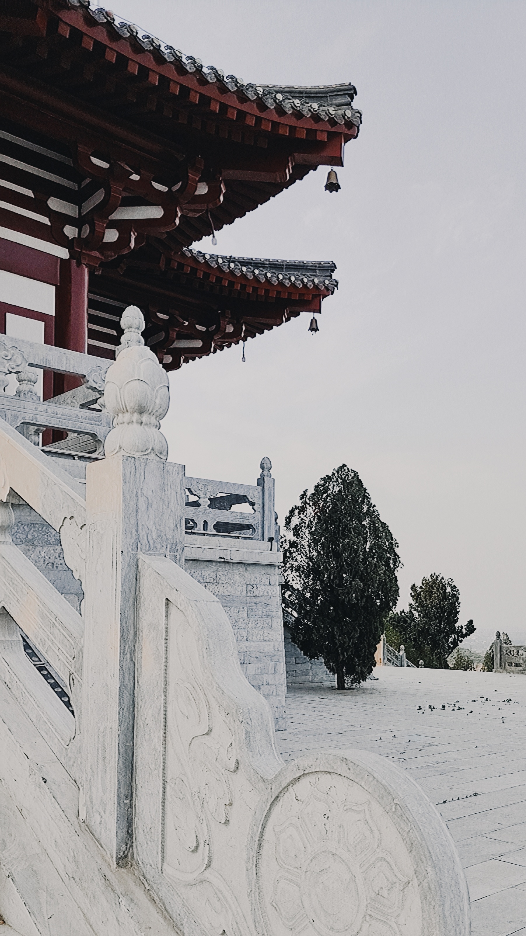 瞭望阁旅行图片 1