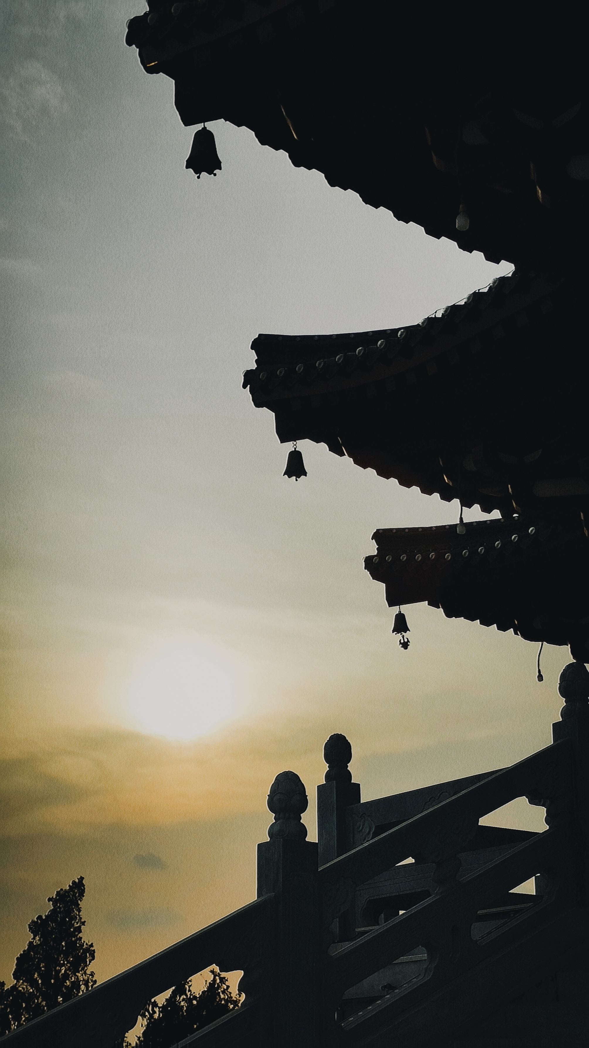 瞭望阁旅行图片 3