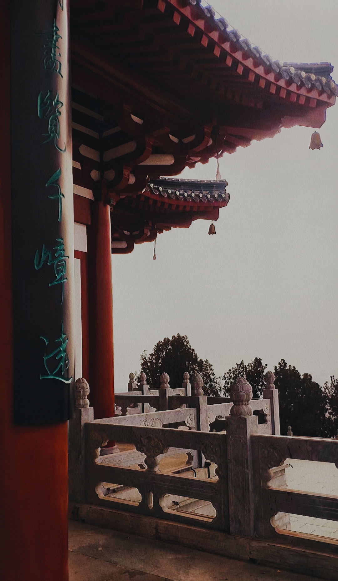 瞭望阁旅行图片 2