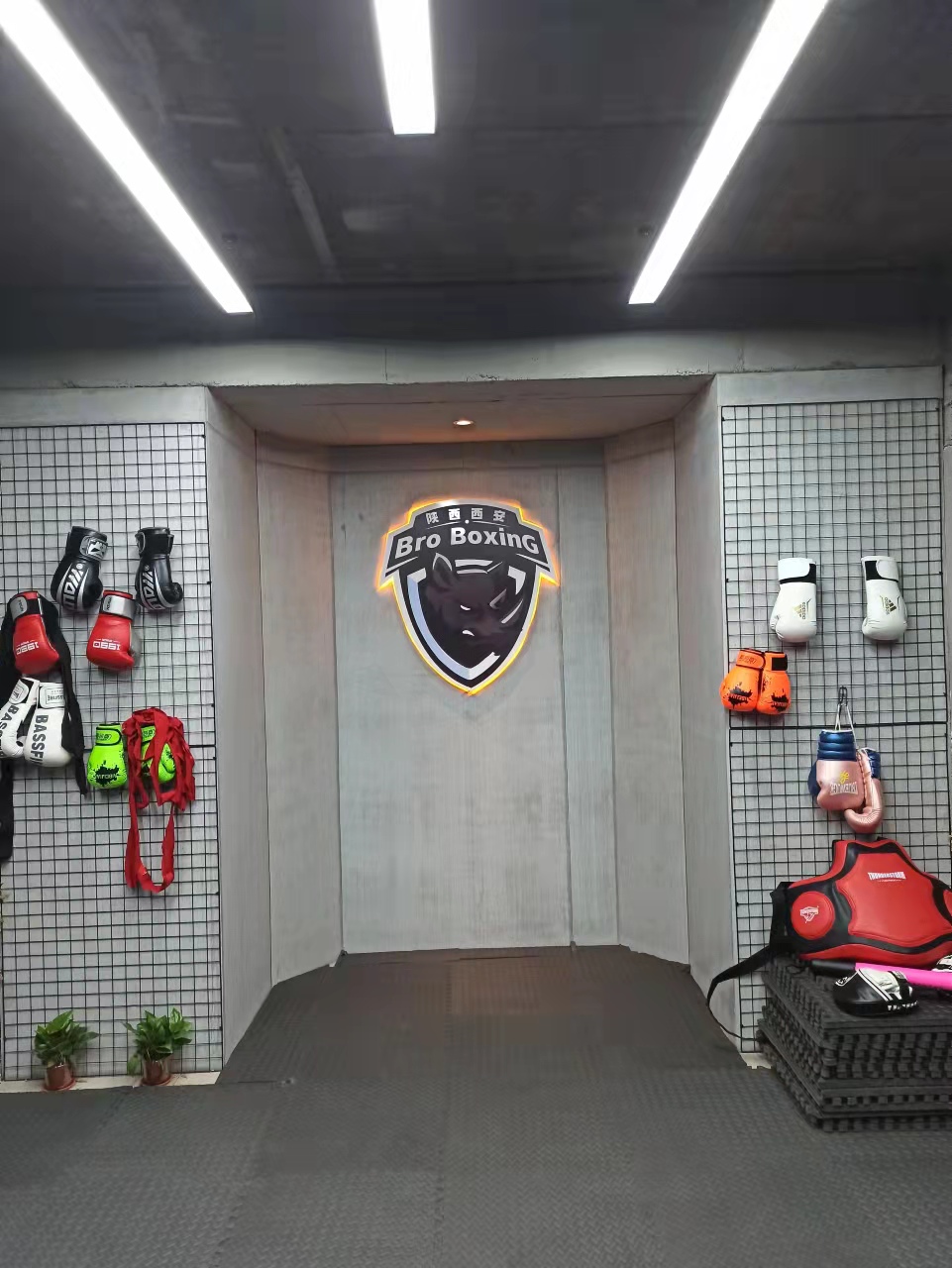 场地封面-Bro boxing