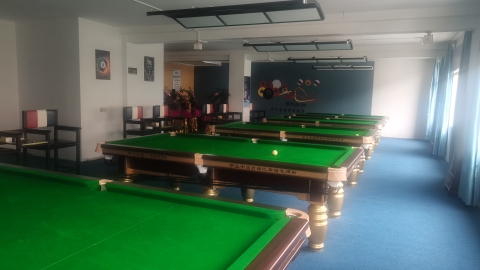 场地封面-琪飞台球