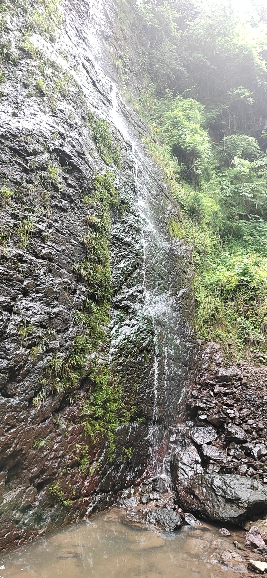 翠云仙谷旅行图片 2