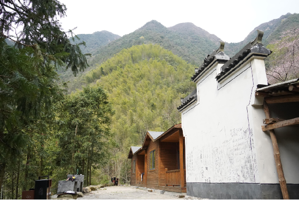 畏岭古道旅行图片 3
