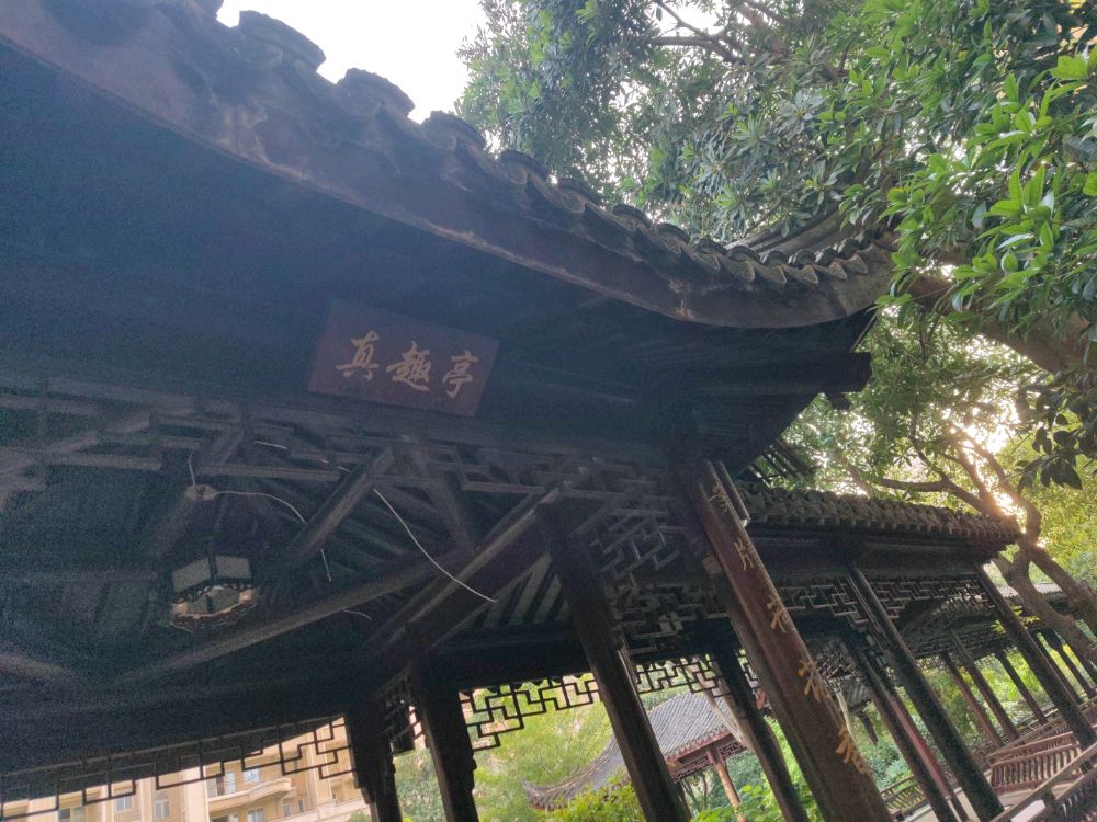 凤凰城公园旅行图片 1