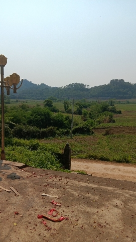 泰康府旅行图片 1