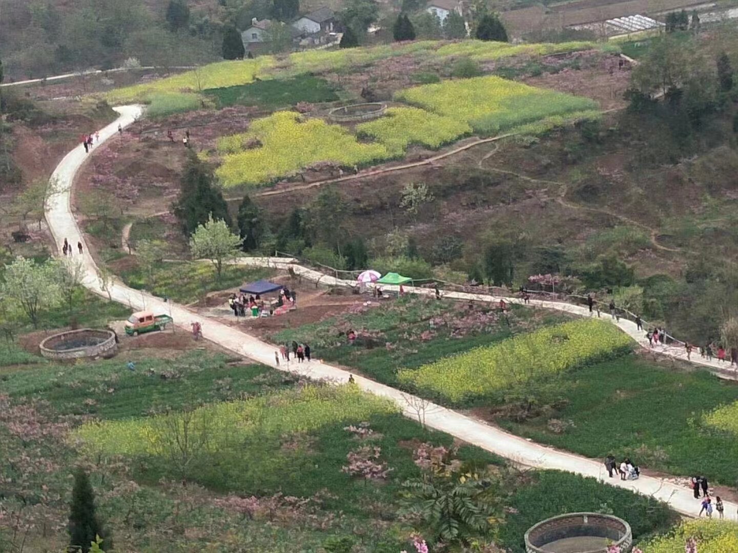 任隆桃花山旅行图片 2