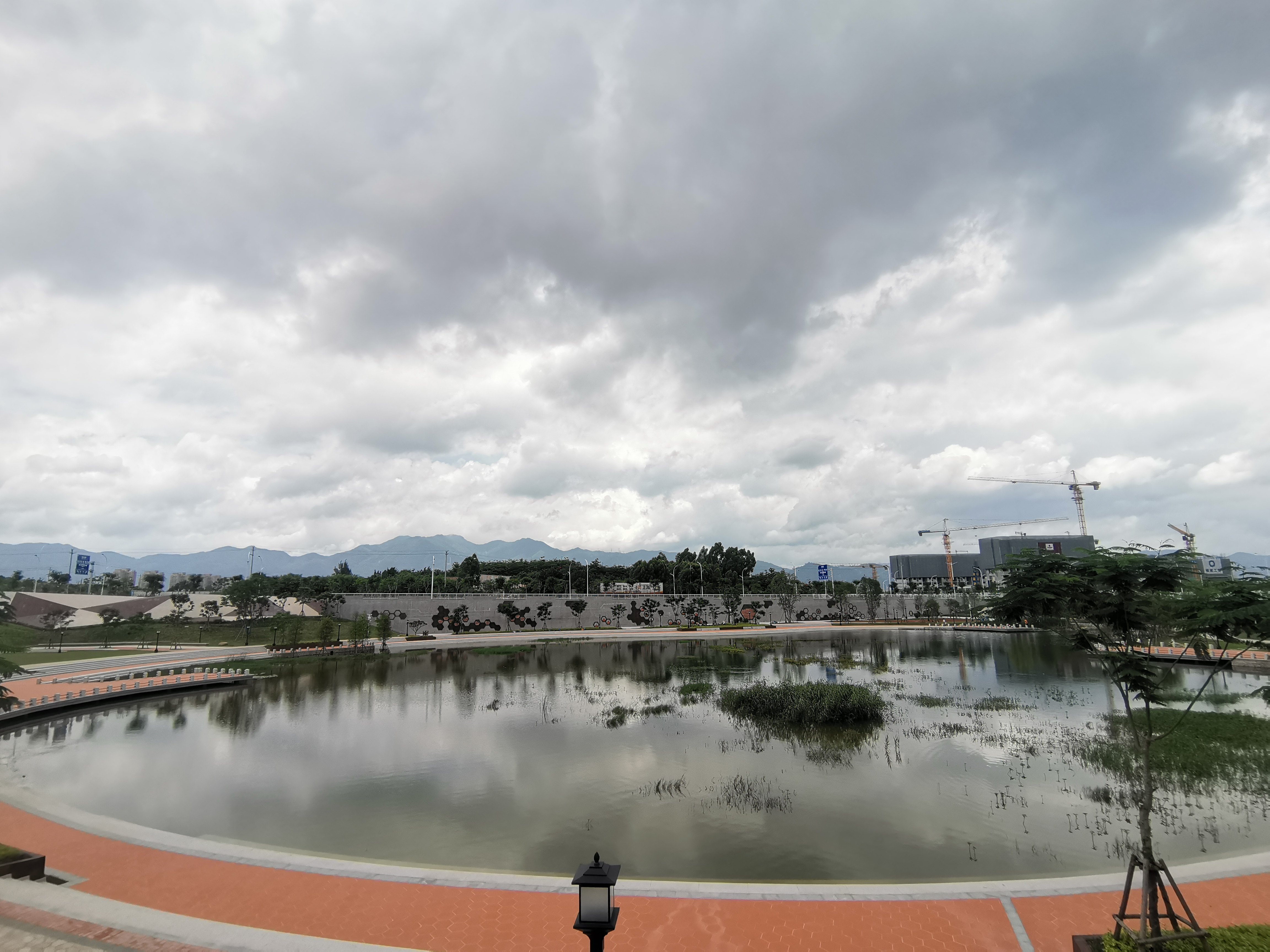 凤凰花公园旅行图片 3